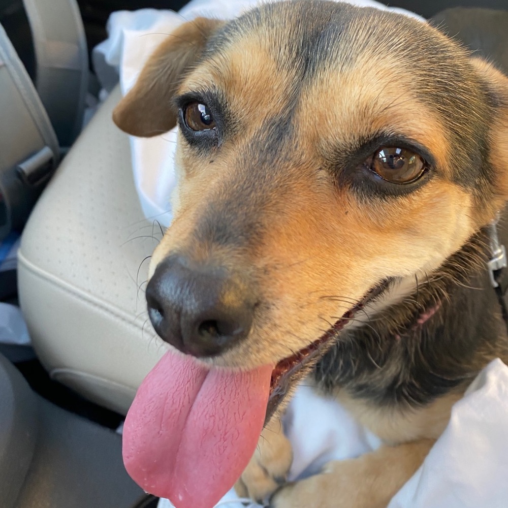 Meet your Posher, Lktn